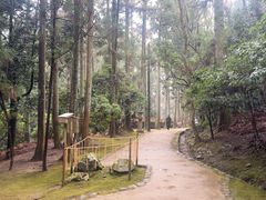 -奈良公园
