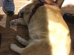 -阿木舂记·特色小吃(平江路店)