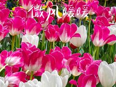 -国家植物园