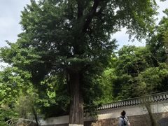 -信阳灵山风景区