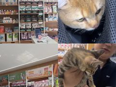 -艾贝尔宠物医院·24H转诊中心·肿瘤猫专科(江宁双龙店)