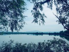 -野鸭湖国家湿地公园