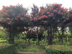 -八大关景区