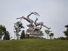 -广富林郊野公园