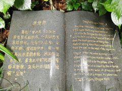 -十八棵（老龙井）御茶园(老龙井店)