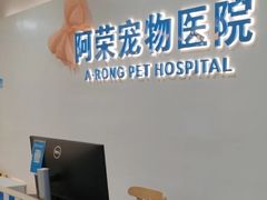 -阿荣24H宠物医院·综合型转诊中心·CT·核磁影像中心