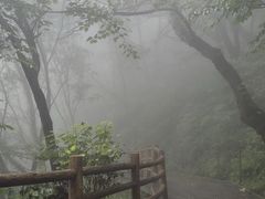 -少华山国家森林公园