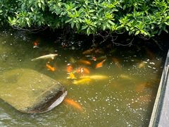 -厦门日月谷温泉渡假村