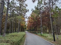 -西溪国家湿地公园