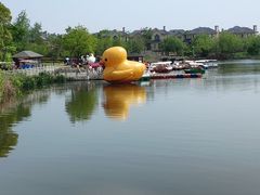 -杭州湾海上花田景区