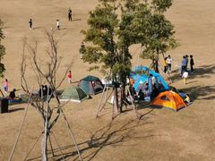 -春花秋色城市公园