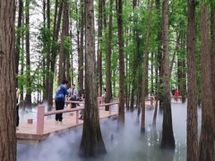 -东湖落雁景区