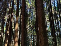 -上色见熊野座神社