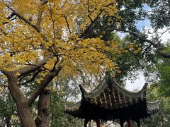 -秋霞圃