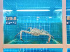 水产区-金龙·打边炉(南京西路店)