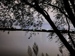 -贡湖湾湿地公园