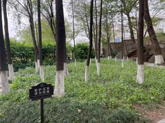 -幕燕滨江·燕子矶公园