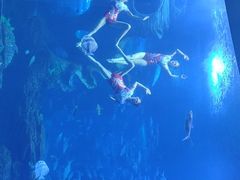 -多彩贵州城极地海洋世界