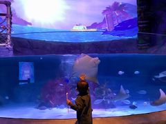 -沈阳海洋探索中心