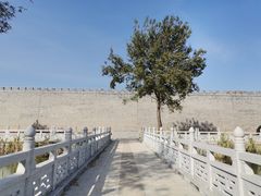 -洛阳市隋唐城遗址植物园