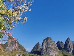 -钟山水墨田园