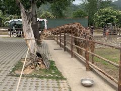 -西安秦岭野生动物园