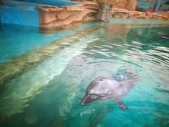 -波塞冬旅游度假区