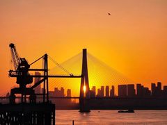 -游心咖啡(青山滨江店)