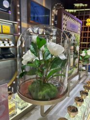 -香遇沙龙香水·调香·团建