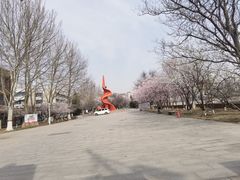 -桃花堤公园