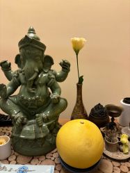 -阿南达·瑜伽普拉提·阿育吠陀疗愈中心