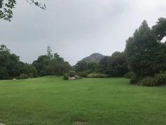 -桃花岛景观公园
