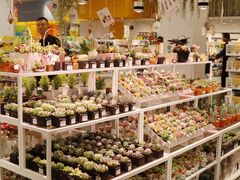 -KKV(深圳宏发大仟里店)