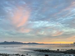 -深圳湾公园(南山区)