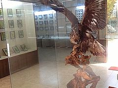 -下渚湖国家湿地公园科普馆