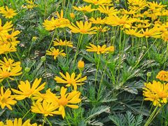 -大龙山(地铁站)