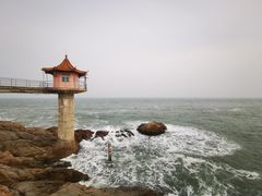 -小麦岛公园