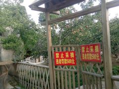 -九华山酒店温泉