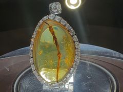 -国家会展中心