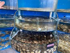 -蓝珊甄选海鲜自助·火锅大排档(近阿那亚店)