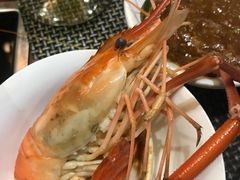 大草虾姿造-海通1号(梅峰店)