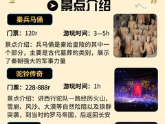 -《驼铃传奇》秀