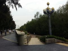 -宝安西湾红树林湿地公园