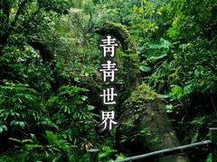 -青青世界