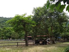 -瑞穗牧场
