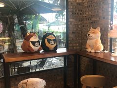 -柴犬高等学院·狗咖·柴犬售卖·宠物训练