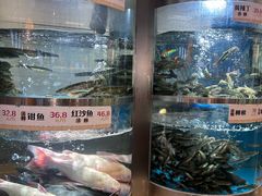 -老船舫·现做活鲜鱼馆(东郊记忆店)