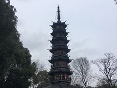 -上海佘山国家森林公园西佘山园