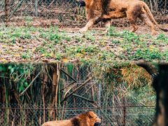 -乐和乐都主题乐园