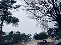 -崂山仰口游览区